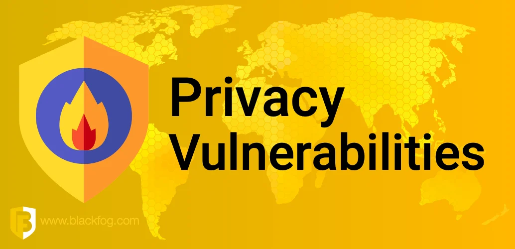 Privacy Vulnerabilities