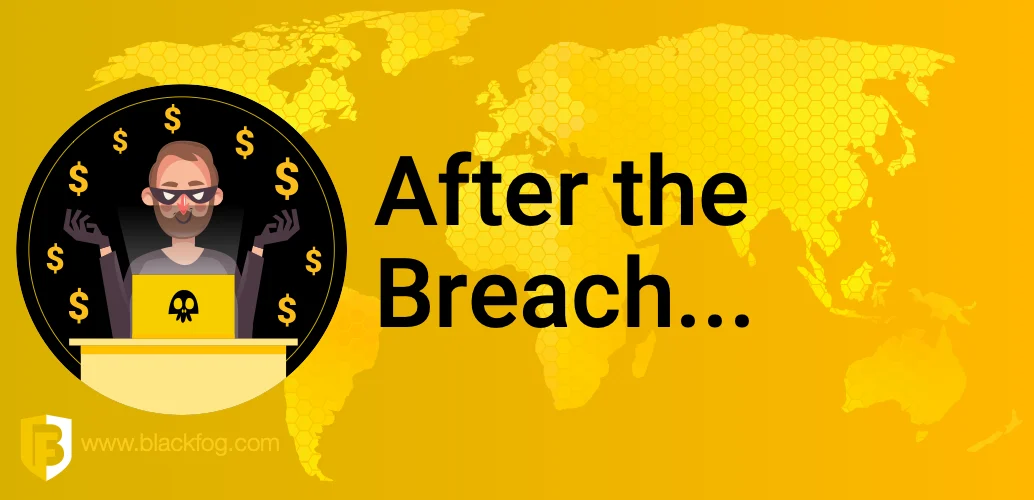 After the Data Breach