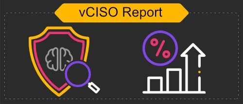 vCISO Ransomware Report