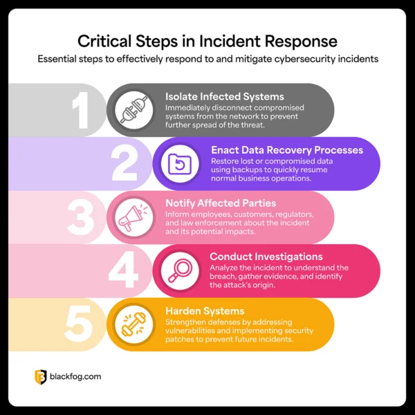 BF Blog_5 Steps Enterprise Data Security_Flow Chart