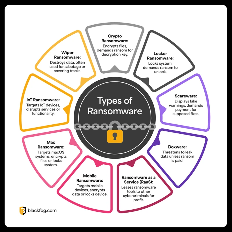 BF Blog_Complete Guide Ransomware_Mid Banner-03