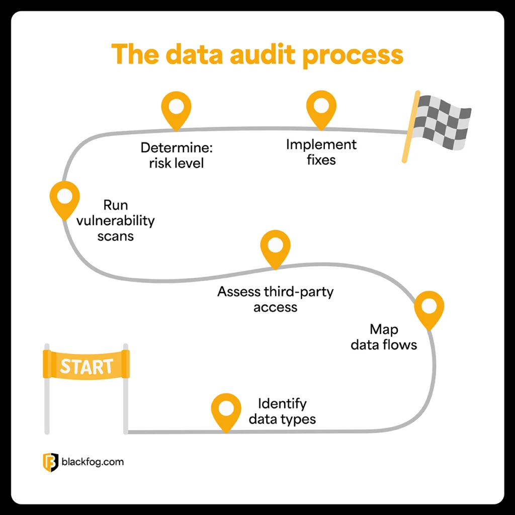 The data audit process The data audit process