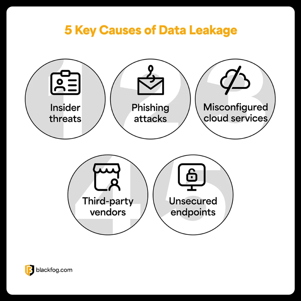 5 Key Causes of Data Leakage 5 Key Causes of Data Leakage