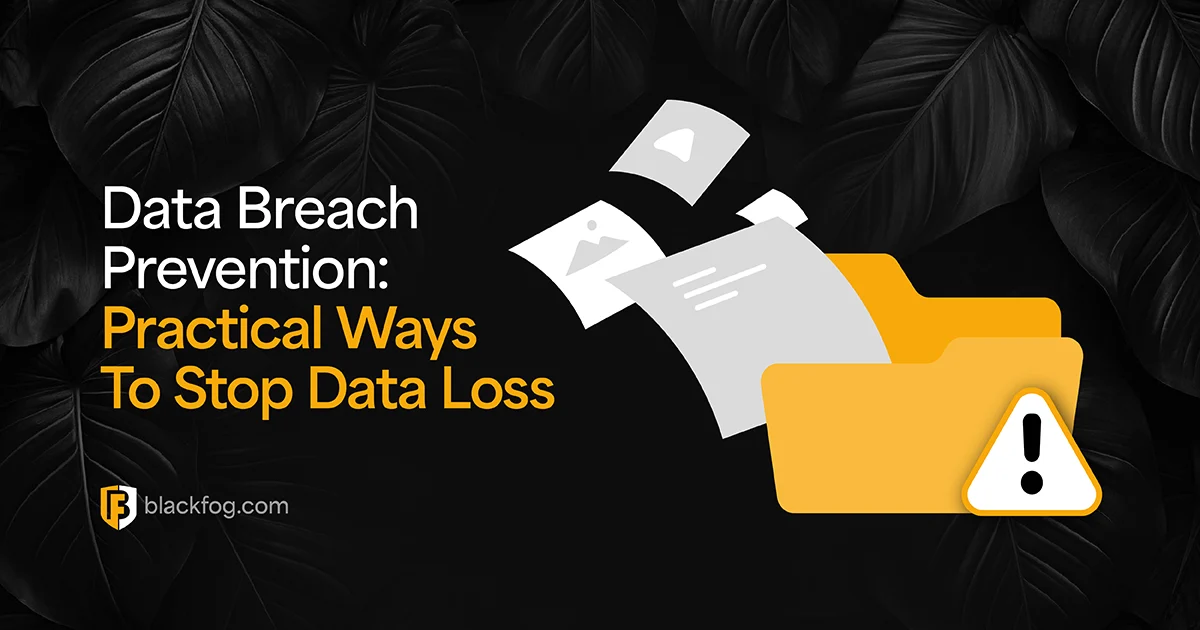 Data Breach Prevention: Practical Ways To Stop Data Loss