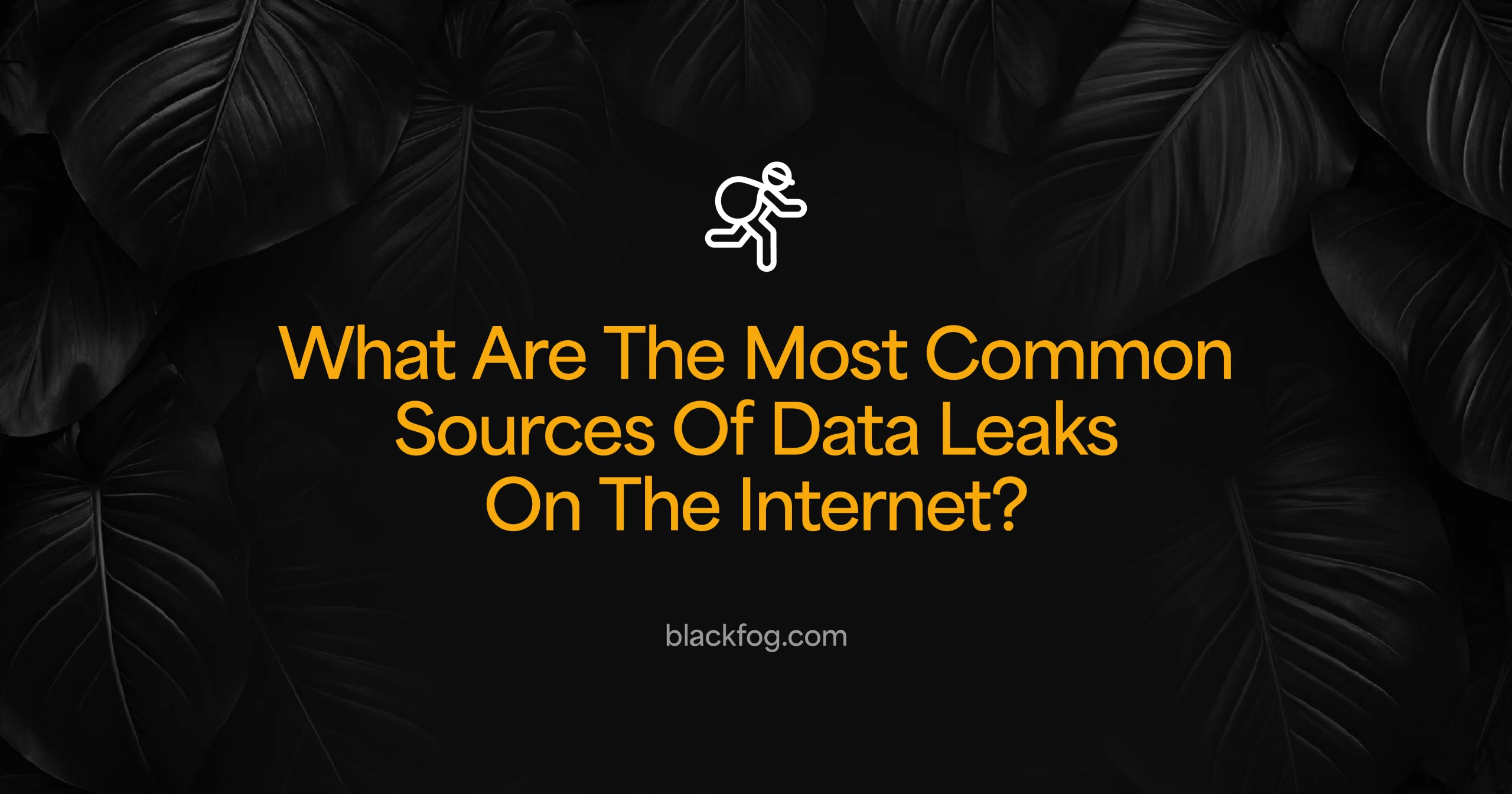 What Are The Most Common Sources Of Data Leaks On The Internet?