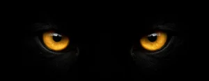 blackshadow eyes