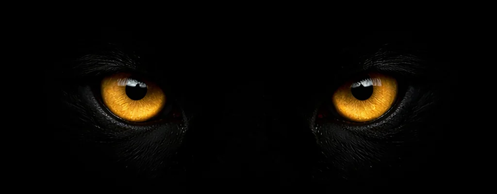 BlackShadow Eyes blackshadow eyes