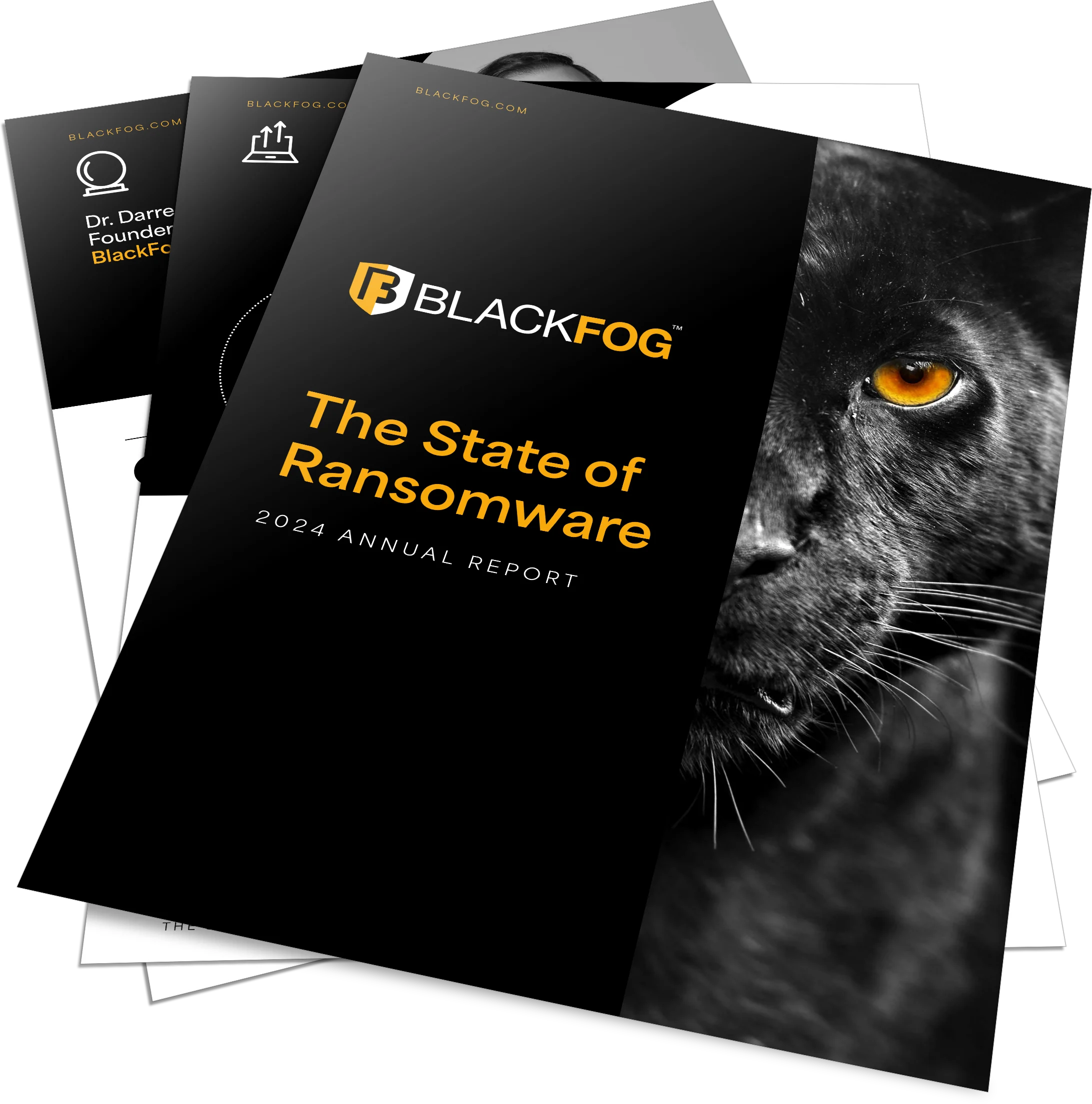 2024 RANSOMWARE REPORT GRAPHIC